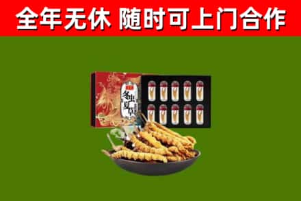 平山区烟酒回收冬虫夏草礼盒.jpg