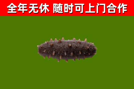 平山区烟酒回收干海参.jpg